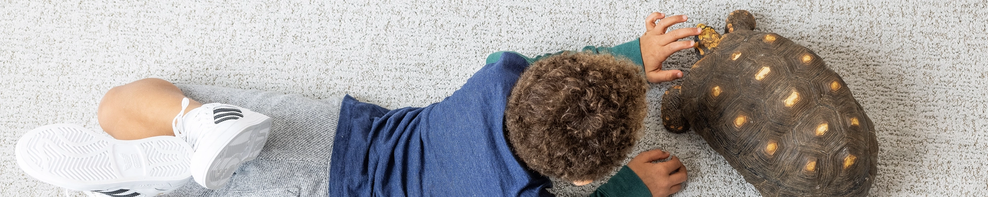Pet friendly carpet and flooring in Conroe TX