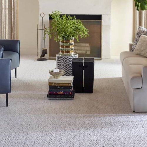 Living Room Pattern Carpet from Floor Xpo in Houston, TX