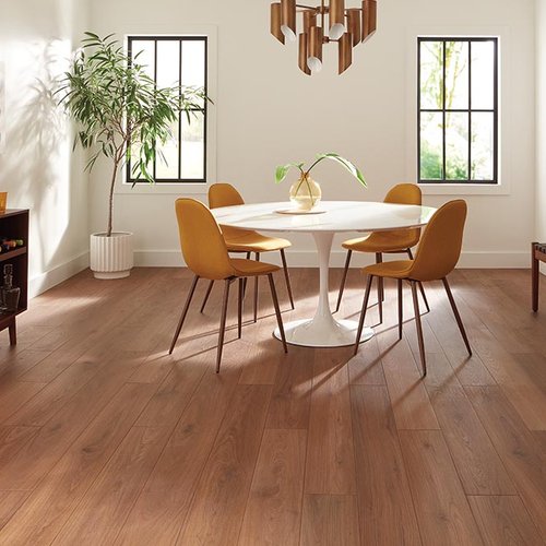 Dining Room Luxury Vinyl Plank LVP from Floor Xpo in Conroe, TX