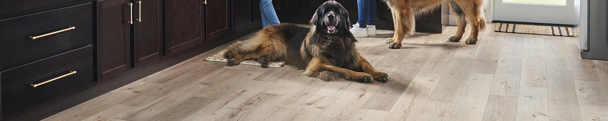 Laminate pet friendly flooring in a family home